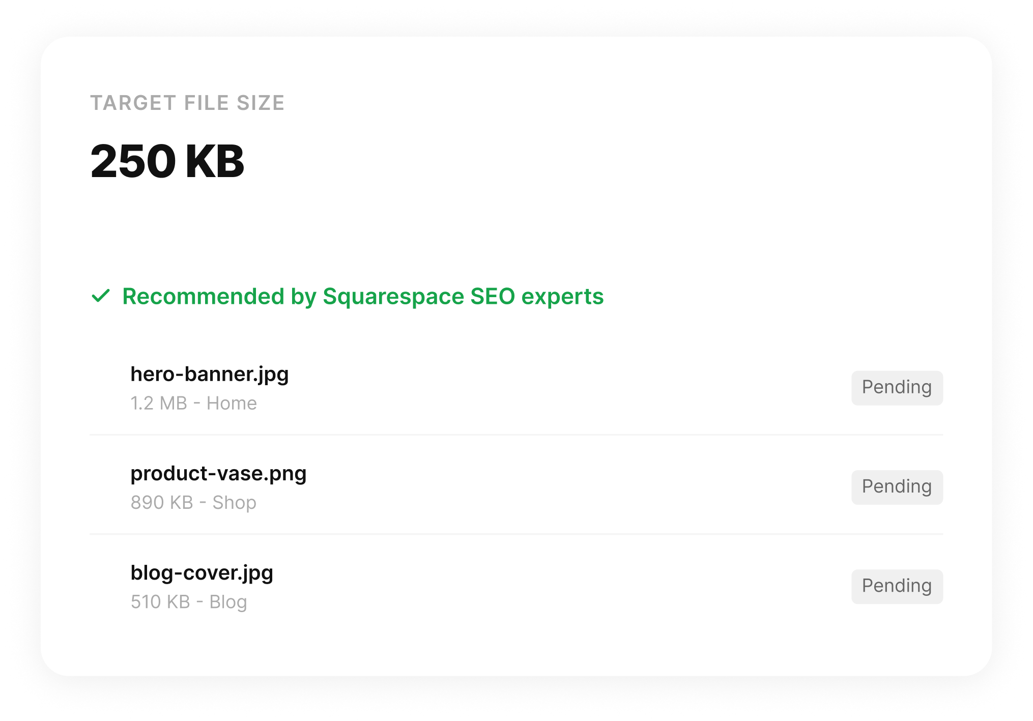 SquareOptimizer image selection panel with 250KB target size setting